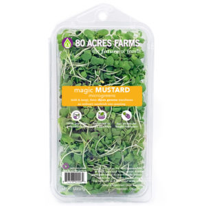 80 Acres Farms Magic Mustard Microgreens