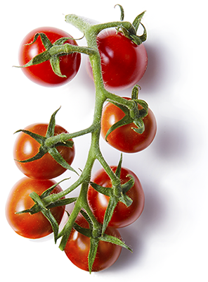 80 Acres Farms Cherry Tomatoes