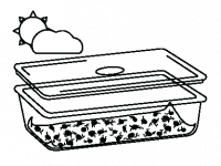 SeedInstruction_Steps-03